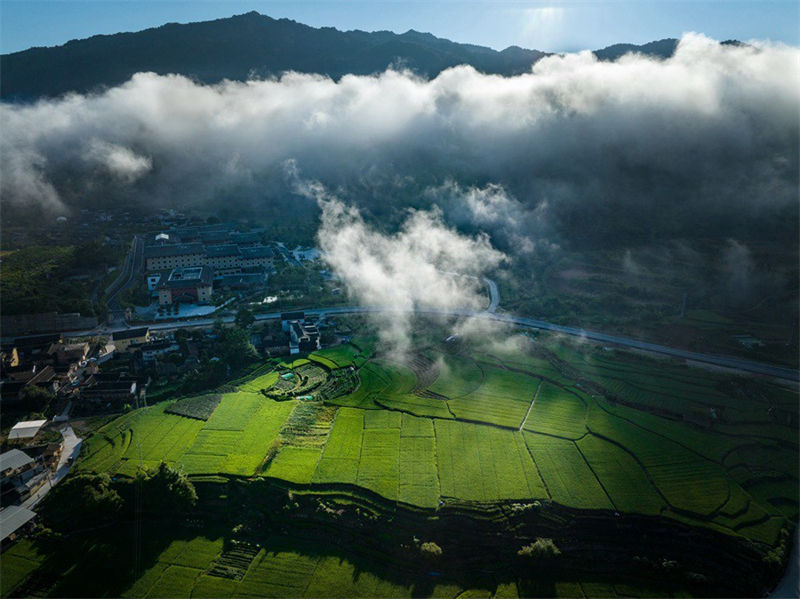 Galeria: vista magnífica de Tulou em Fujian