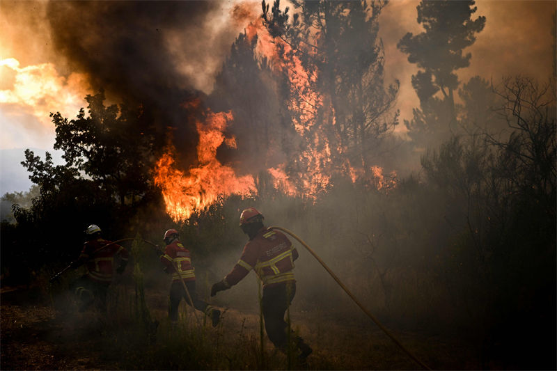 Portugal: incêndio nas montanha devasta cerca de 15 mil hectares de terra