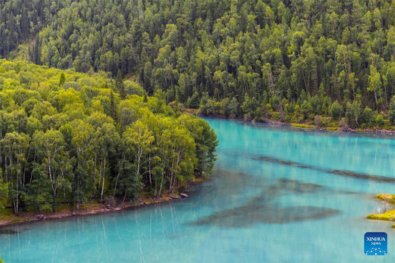 Galeria: cenário de outono de Kanas em Xinjiang