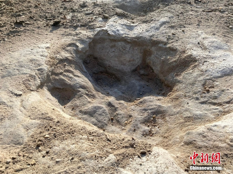 EUA: seca em rio revela de pegadas de dinossauros com 113 milhões de anos