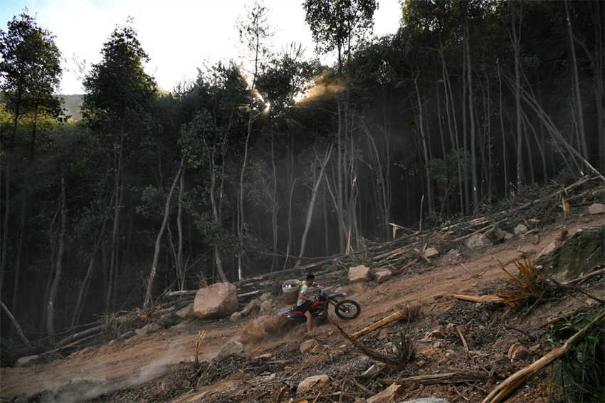 Motociclistas ajudam em combate a incêndio florestal em Chongqing