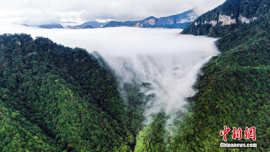 Galeria: cachoeira de nuvem da reserva nacional natural de Shennongjia, Hubei