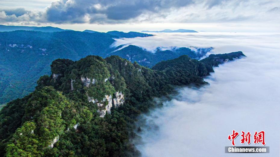 Galeria: cachoeira de nuvem da reserva nacional natural de Shennongjia, Hubei