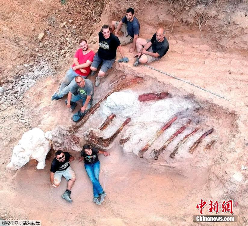 Fósseis de dinossauros gigantes são encontrados em Portugal