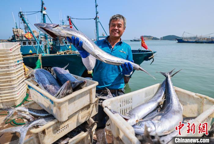 Shandong recebe boa colheita de peixes durante temporada de pesca