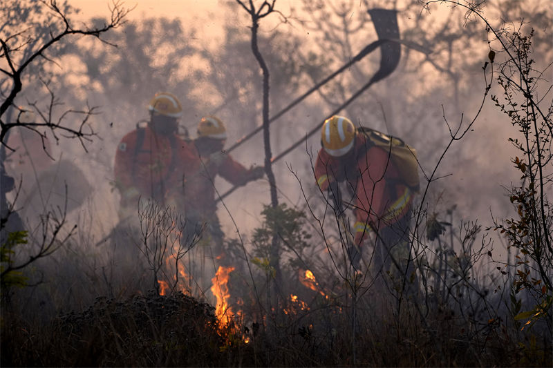 Brasil: incêndio atinge Parque Nacional de Brasília