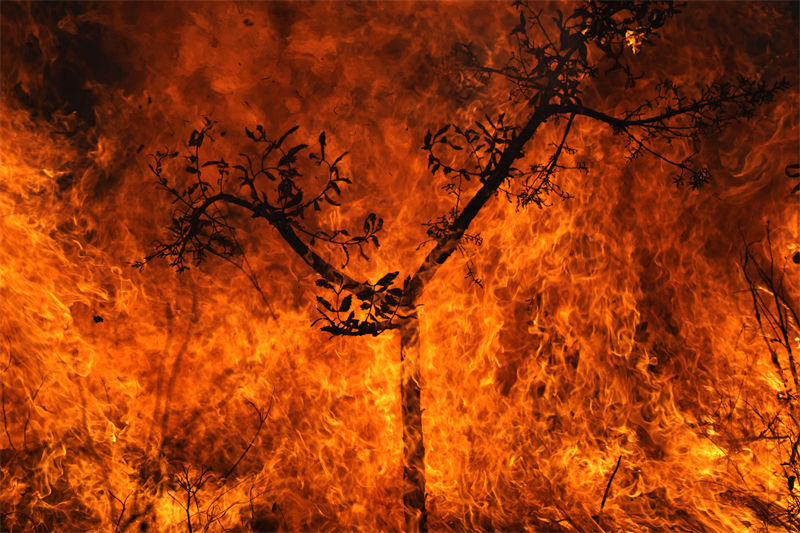 Brasil: incêndio atinge Parque Nacional de Brasília