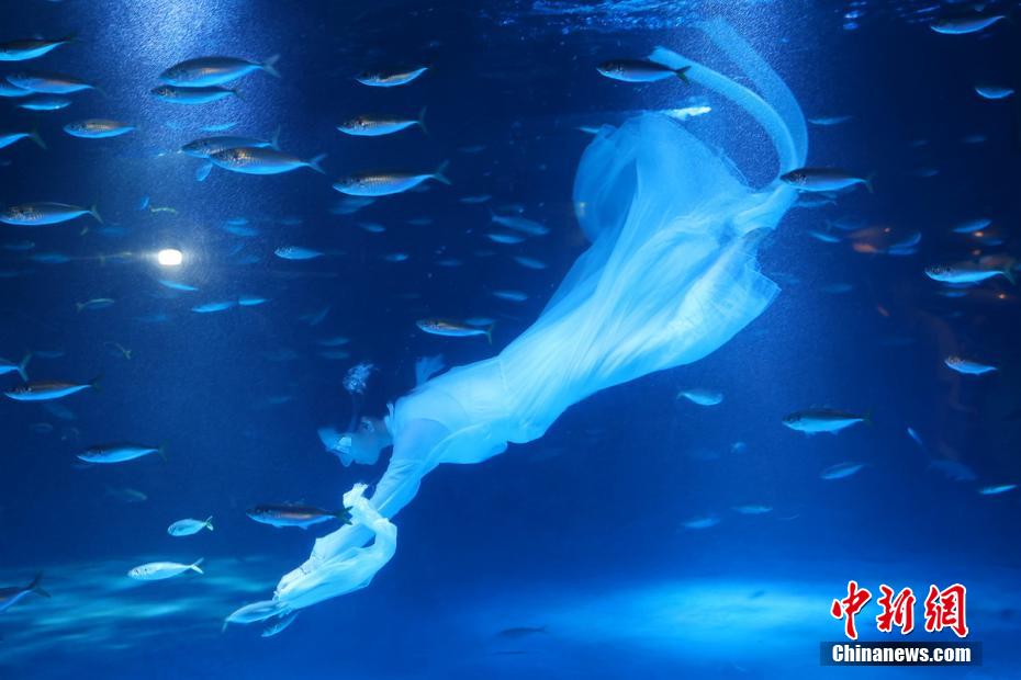 Nanjing: mundo subaquático lança uma série de atividades da ciência popular