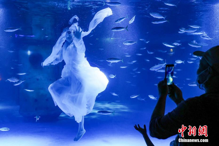 Nanjing: mundo subaquático lança uma série de atividades da ciência popular