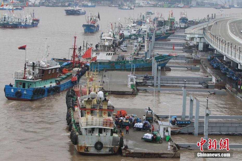 Zhejiang: barcos de pesca retornam ao porto por causa do tufão 