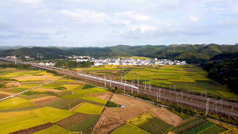 Guangxi: indústrias especiais promovem revitalização rural