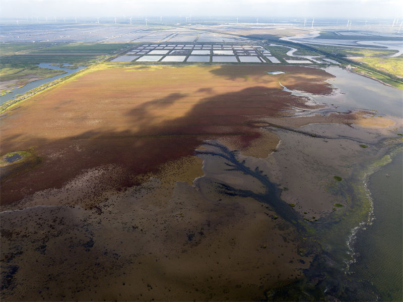 Jiangsu: paisagem deslumbrante da zona úmida Tiaozini 