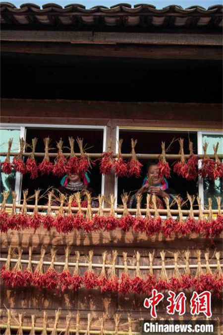 Guizhou: camponeses ocupados secam culturas na aldeia de etnia Miao