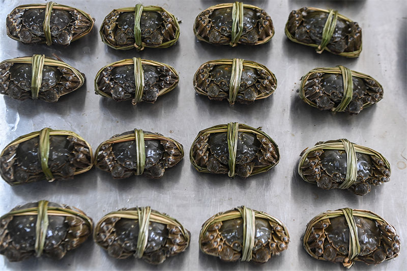 Zhejiang inicia temporada de colheita de caranguejos