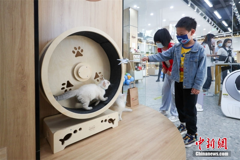 Primeira Livraria Xinhua com tema de animais de estimação é inaugurada em Beijing