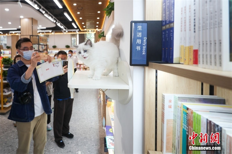 Primeira Livraria Xinhua com tema de animais de estimação é inaugurada em Beijing