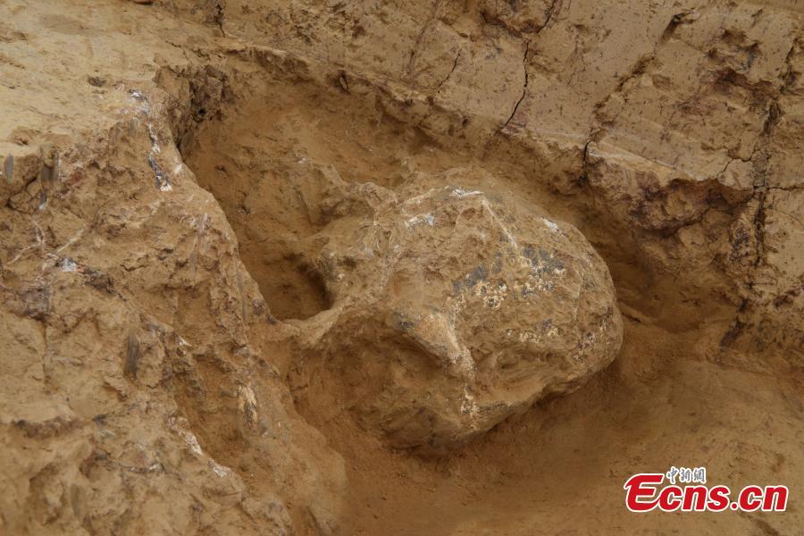 Novo crânio fossilizado do Homem Yunxian foi encontrado no centro da China