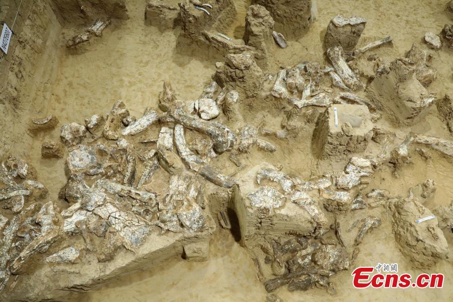 Novo crânio fossilizado do Homem Yunxian foi encontrado no centro da China