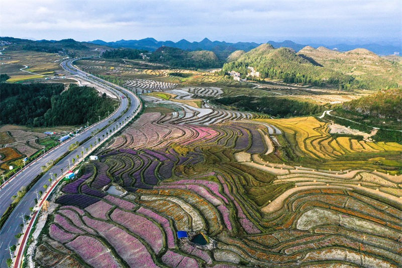 Guizhou: distrito de Guiyang visa promover vitalização rural com turismo agrícola