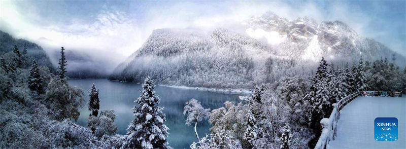 Galeria: cenário de neve da área cênica de Jiuzhaigou em Sichuan