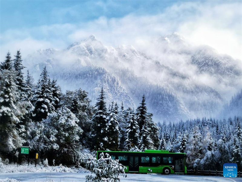 Galeria: cenário de neve da área cênica de Jiuzhaigou em Sichuan