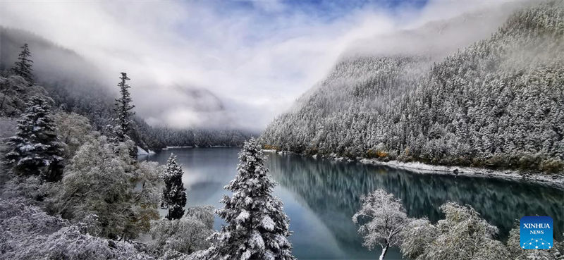 Galeria: cenário de neve da área cênica de Jiuzhaigou em Sichuan