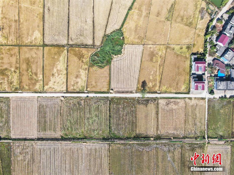 Galeria: estradas rurais atravessam campos belos no leste da China