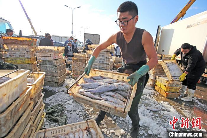 Shandong: pescadores vendem mariscos por transmissão ao vivo