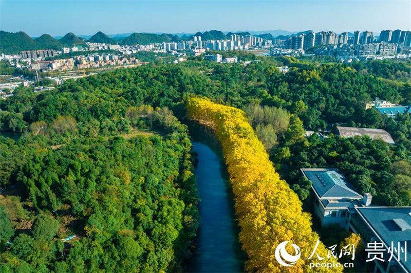 Galeria: melhor cenário de outono de Guiyang 