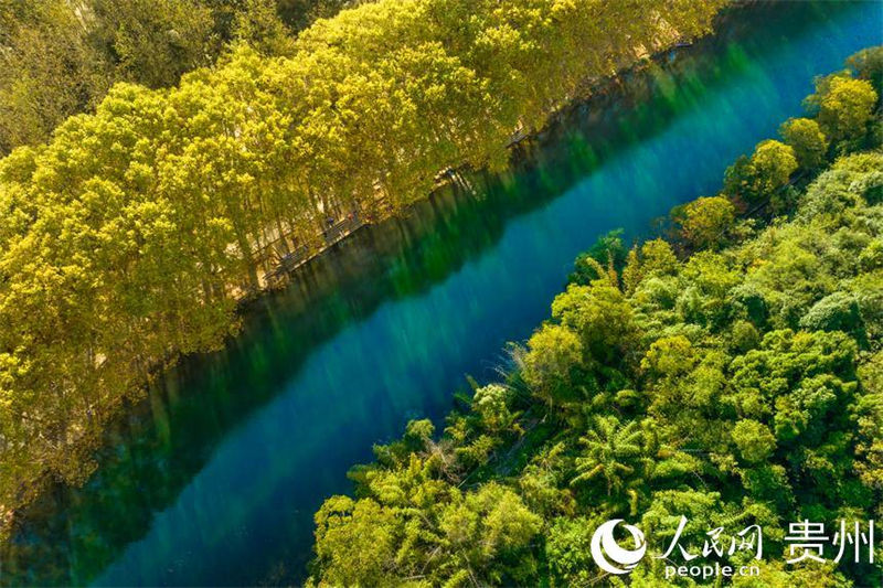 Galeria: melhor cenário de outono de Guiyang 