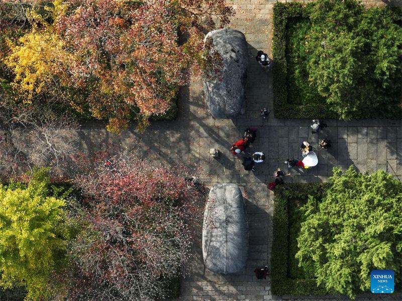 Cenário de outono do Mausoléu imperial Xiaoling em Nanjing