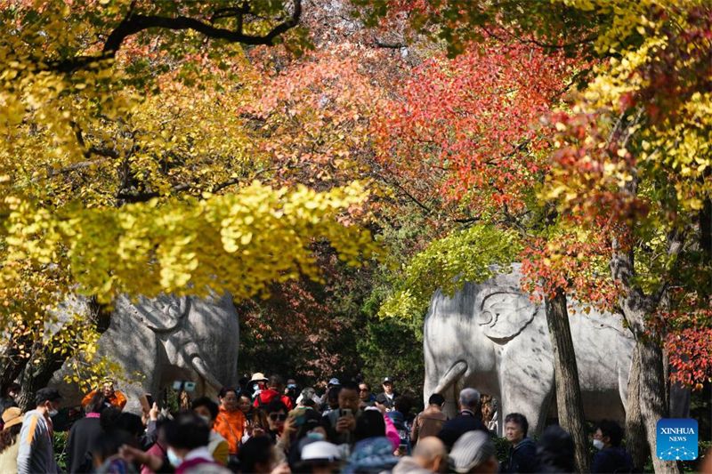 Cenário de outono do Mausoléu imperial Xiaoling em Nanjing