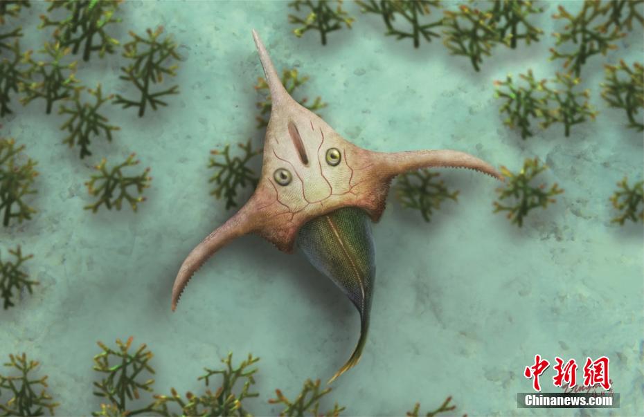 Academia Chinesa de Ciências disponibiliza representação de pterogonaspis, espécie com 410 milhões de anos