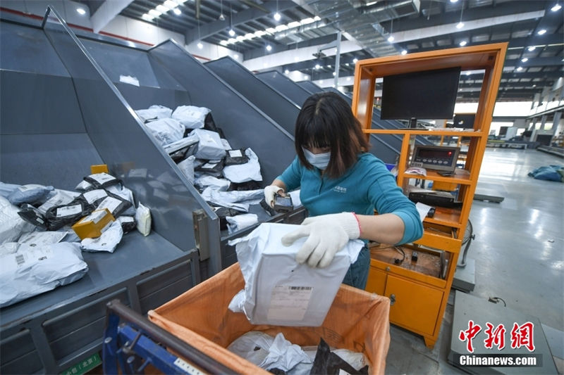 Zhejiang: negócio online em importação e exportação tem alto fluxo