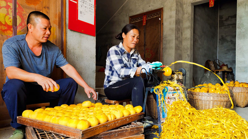 Guangxi inicia temporada da colheita de caquis