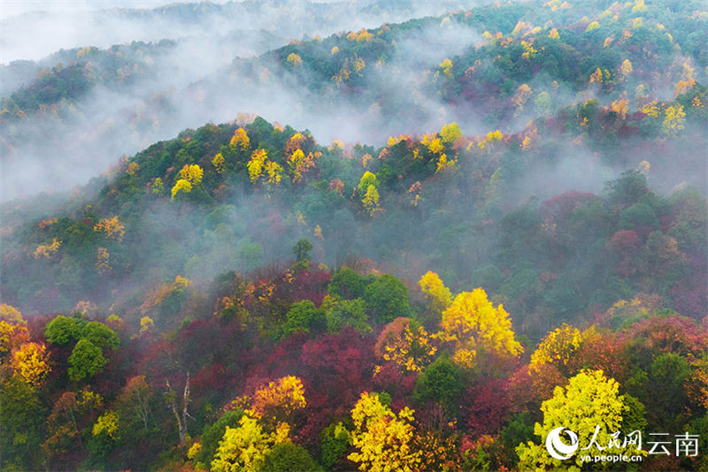Galeria: cenário de outono do condado de Xiaocaoba