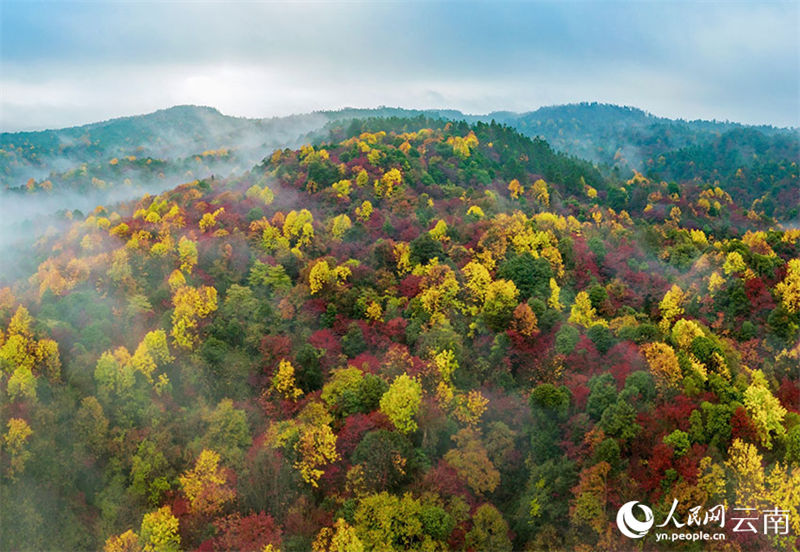 Galeria: cenário de outono do condado de Xiaocaoba