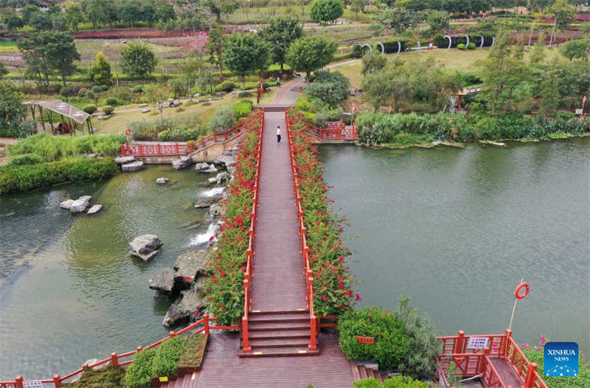 Galeria: parque pantanal do rio Nakao em Guangxi