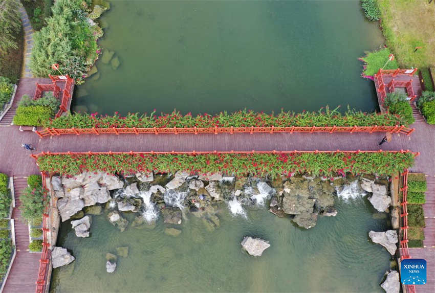 Galeria: parque pantanal do rio Nakao em Guangxi