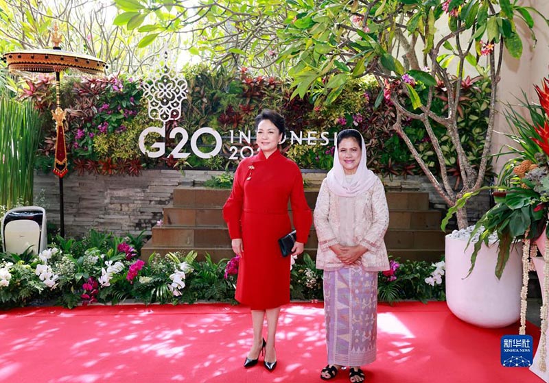 Peng Liyuan participa de evento para cônjuges de líderes do G20
