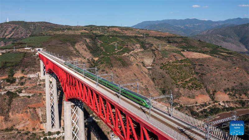 Ferrovia China-Laos vê primeiro trem direto para frutas importadas para mercados chineses