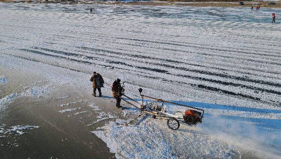 Harbin começa a cortar gelo para esculturas