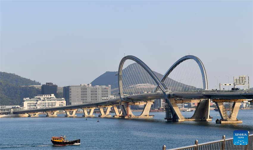 Ponte Tseung Kwan O Cruzado de Hong Kong é aberta ao tráfego