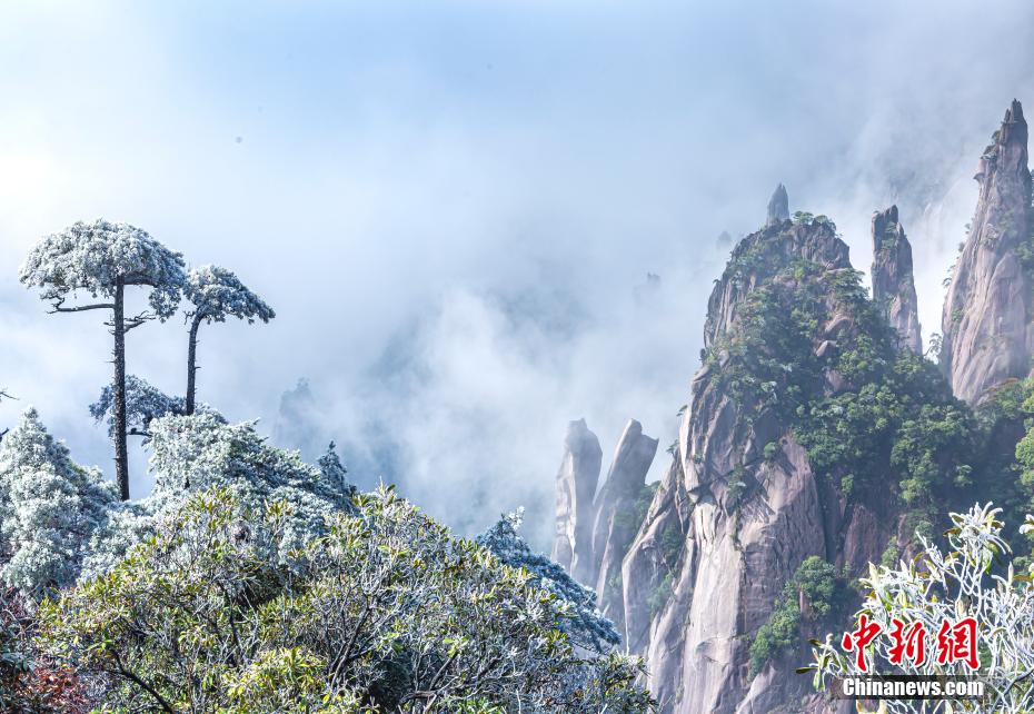 Galeria: bela paisagem de geada na montanha Sanqing no leste da China