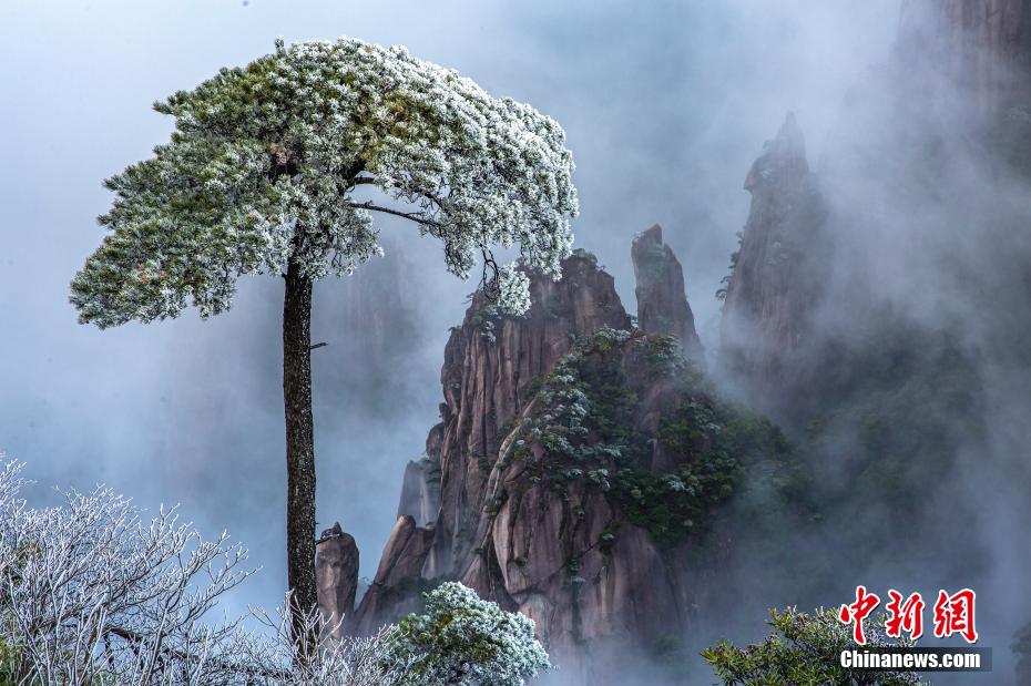 Galeria: bela paisagem de geada na montanha Sanqing no leste da China