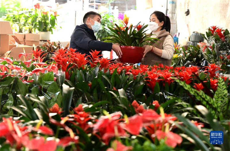 Mercados de flores estão animados com aproximação do Ano Novo