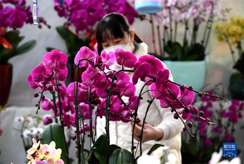 Mercados de flores estão animados com aproximação do Ano Novo