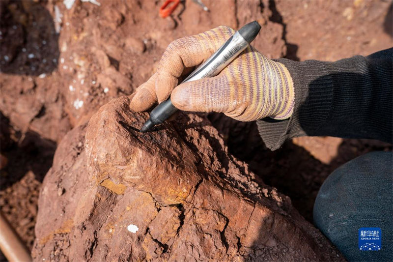 Yunnan: trabalho de escavação de 9 novos sítios de fósseis de dinossauros é iniciado