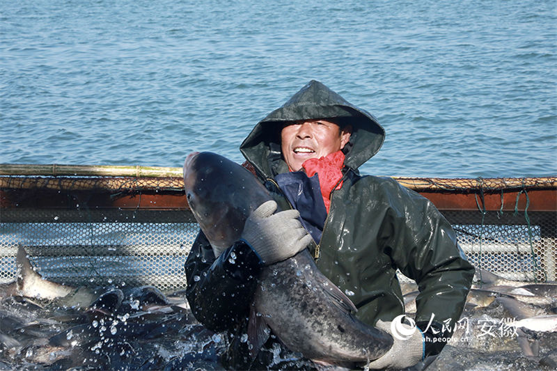 Anhui realiza pesca abundante de inverno para dar boas-vindas ao Ano Novo Chinês