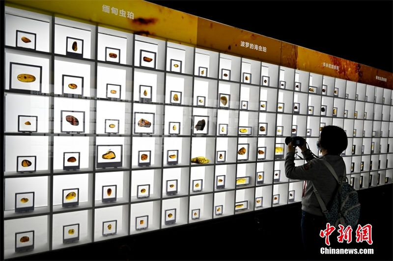 Museu de Guangzhou exibe mais de 700 peças de ambar